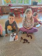 większy obrazek nr 5