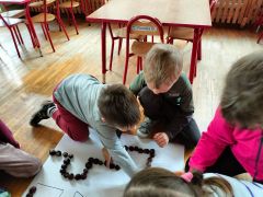 większy obrazek nr 11