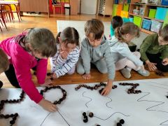 większy obrazek nr 12