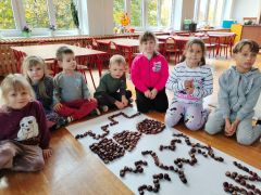 większy obrazek nr 17