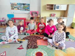 większy obrazek nr 22