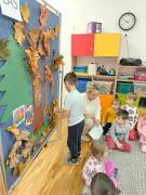 większy obrazek nr 6