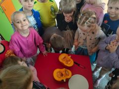 większy obrazek nr 9