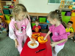 większy obrazek nr 13