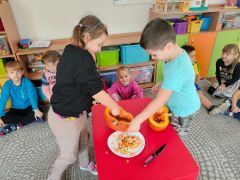 większy obrazek nr 16