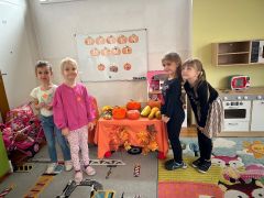 większy obrazek nr 31