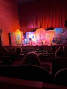 większy obrazek nr 5