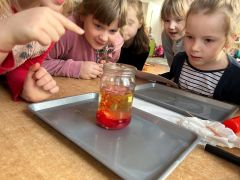 większy obrazek nr 32