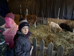 większy obrazek nr 54