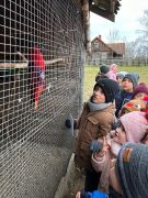 większy obrazek nr 55