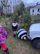 większy obrazek nr 77