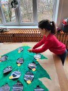 większy obrazek nr 59