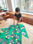 większy obrazek nr 66