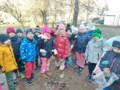 większy obrazek nr 2