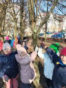 większy obrazek nr 5