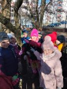 ilustracja do wpisu 
Dokarmianie ptaków