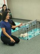 większy obrazek nr 3