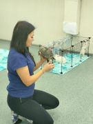 większy obrazek nr 4