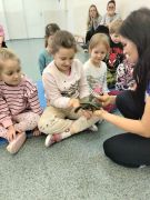 większy obrazek nr 5