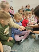 większy obrazek nr 8