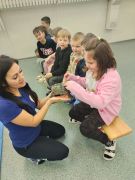 większy obrazek nr 11