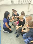 większy obrazek nr 12