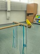 większy obrazek nr 18