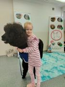 większy obrazek nr 21