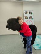 większy obrazek nr 25