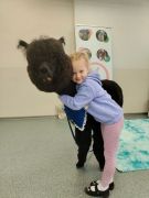 większy obrazek nr 26