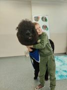 większy obrazek nr 27