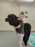 większy obrazek nr 28