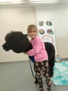 większy obrazek nr 29