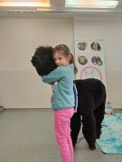 większy obrazek nr 30