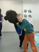 większy obrazek nr 31