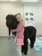 większy obrazek nr 32