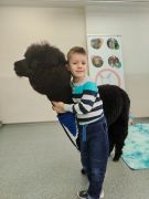 większy obrazek nr 33