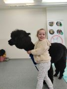 większy obrazek nr 34