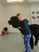 większy obrazek nr 36