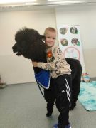 większy obrazek nr 37