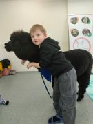 większy obrazek nr 38