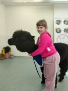 większy obrazek nr 39