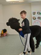 większy obrazek nr 40