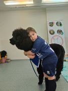 większy obrazek nr 41