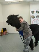 większy obrazek nr 42