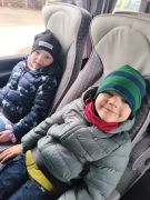 większy obrazek nr 6