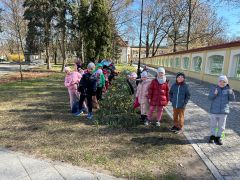 większy obrazek nr 26