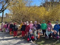 większy obrazek nr 27