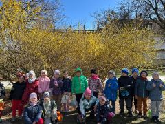 większy obrazek nr 28