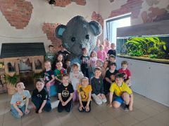 większy obrazek nr 20